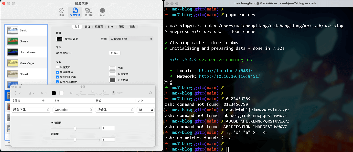 Consolas 终端显示效果